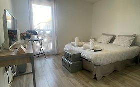 Luxury Apartment Near Cdg & Parc Asterix